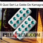 À Quoi Sert La Gelée De Kamagra dapoxetine2